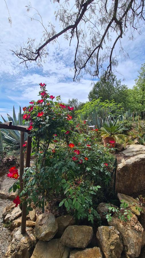 Casa Merea 16 Costa d'Oneglia ภายนอก รูปภาพ