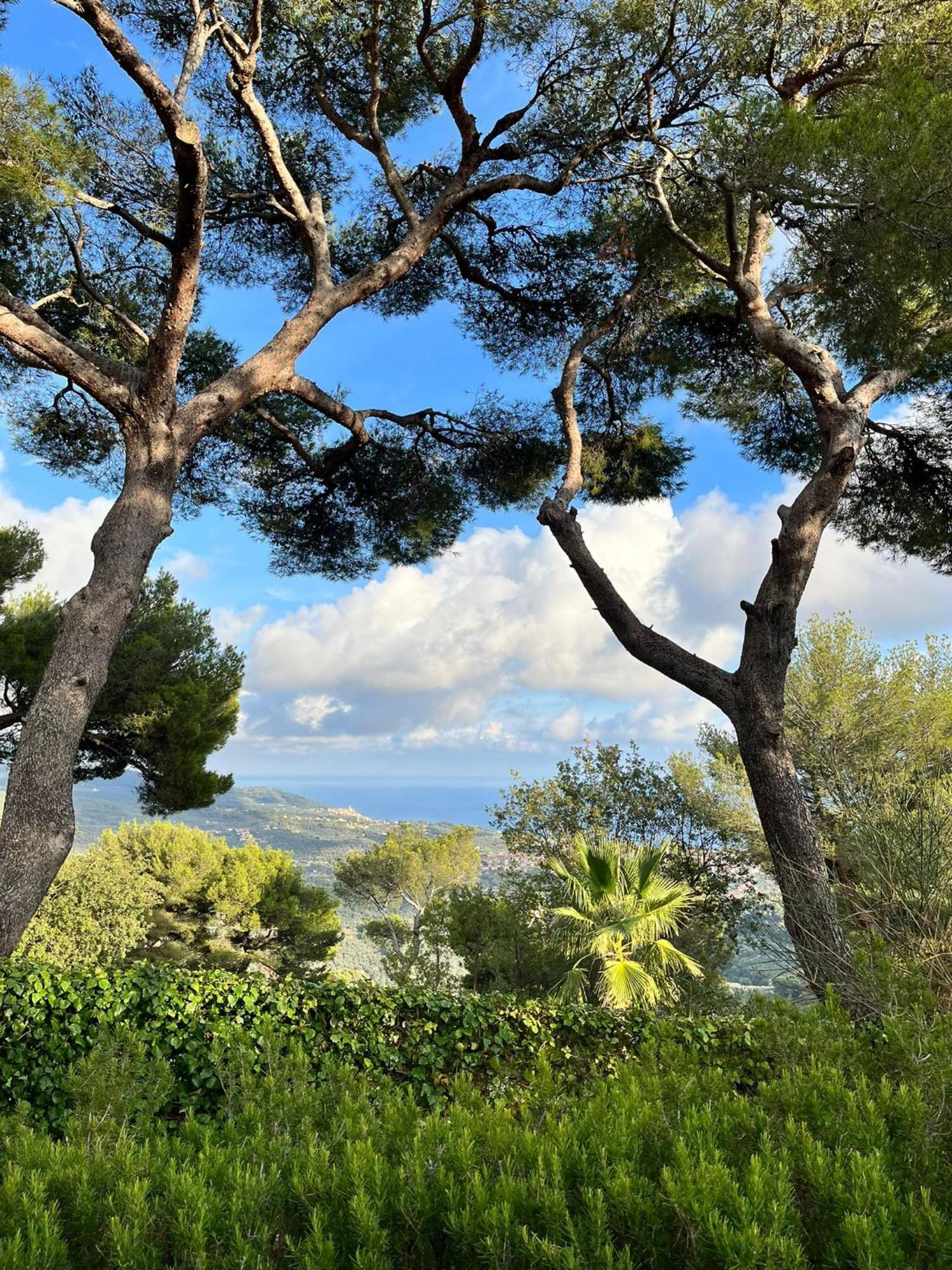 Casa Merea 16 Costa d'Oneglia ภายนอก รูปภาพ